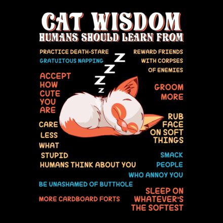 Cats 010 Thumbnail